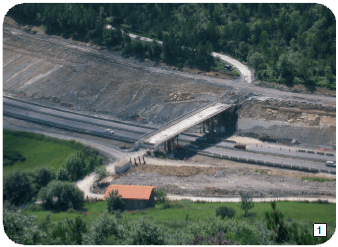 Errepide nagusietako zubi eta bidezubiak